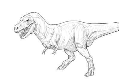 Come Disegnare Un Dinosauro T Rex Design E Illustrazione