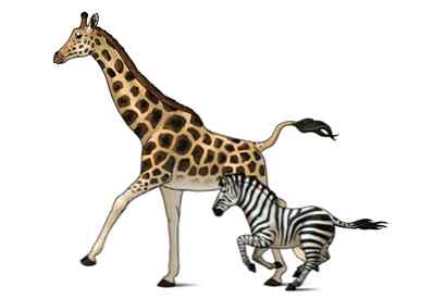 Verwonderend Hoe dieren te tekenen Zebra's en Giraffen / Ontwerp & illustratie JA-09
