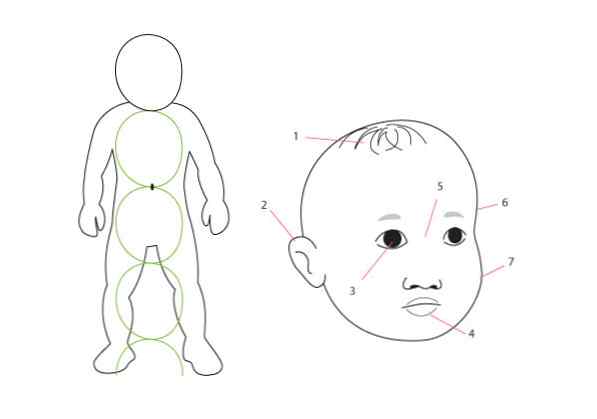 Principes Fondamentaux De L Anatomie Humaine Dessiner Differents Ages Design Et Illustration Developpement De Sites Web Jeux Informatiques Et Applications Mobiles