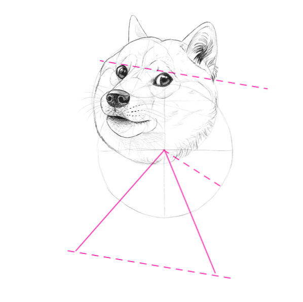 Tale Tutorial Molti Divertimento Come Disegnare Doge