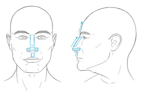 Die Unterschiede Zwischen Mannlichen Und Weiblichen Portraits Design Illustration Website Entwicklung Computerspiele Und Mobile Anwendungen