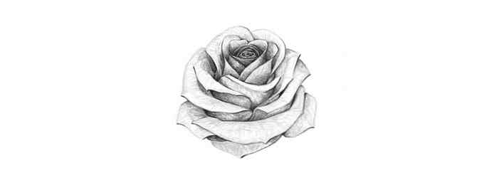 Ongebruikt Hoe een roos te tekenen / Ontwerp & illustratie | Website LT-22