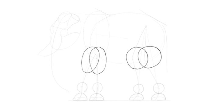 Come Disegnare Un Elefante Passo Dopo Passo Design E