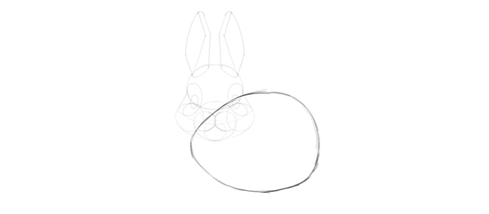 Comment Dessiner Un Joli Lapin Etape Par Etape Design Et Illustration Developpement De Sites Web Jeux Informatiques Et Applications Mobiles