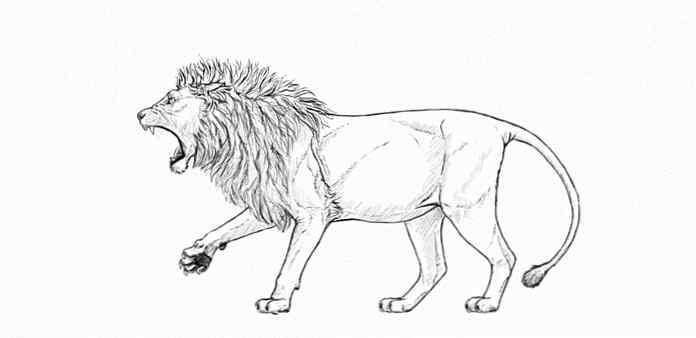 Ongebruikt Hoe je een brullende leeuw stap voor stap tekent / Ontwerp UO-72