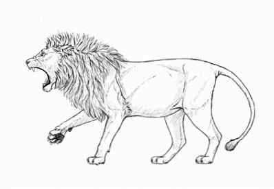 Ongebruikt Hoe je een brullende leeuw stap voor stap tekent / Ontwerp SL-76